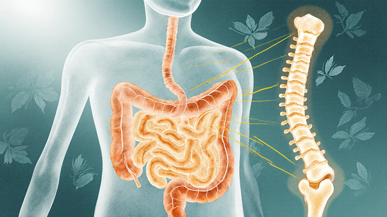 How Poor Food Absorption Triggers Osteoporosis - What You Need to Know